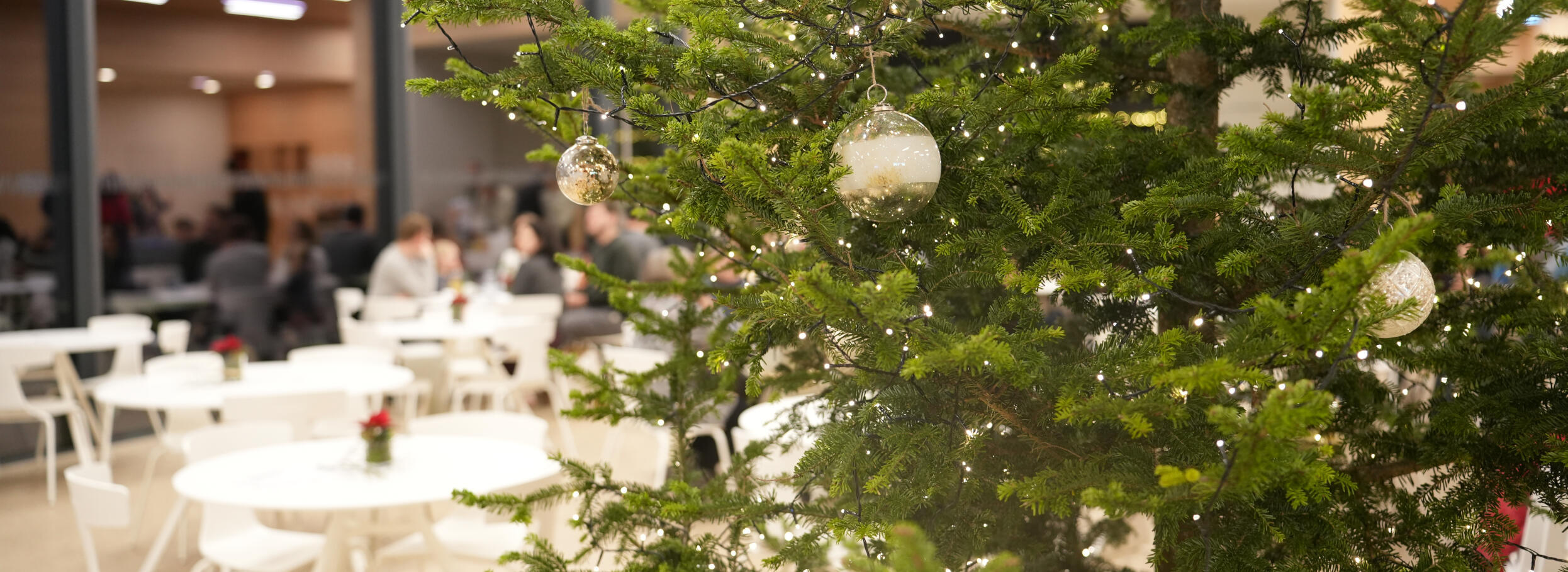 Nahaufnahme: Geschmückter Weihnachtsbaum. An den zweigen sind weiße, glitzernde Kugeln. Im Hintergrund ein Café. Foto: Ekarerina Nastah  