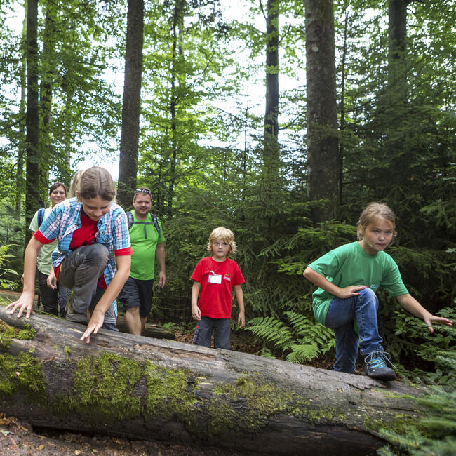 Kinder klettern über einen Baumstamm, der quer über einen Weg liegt und schon mit Moos bewachsen ist. Foto: qu-int.gmbh
