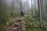 © Daniel Müller (Nationalpark Schwarzwald)