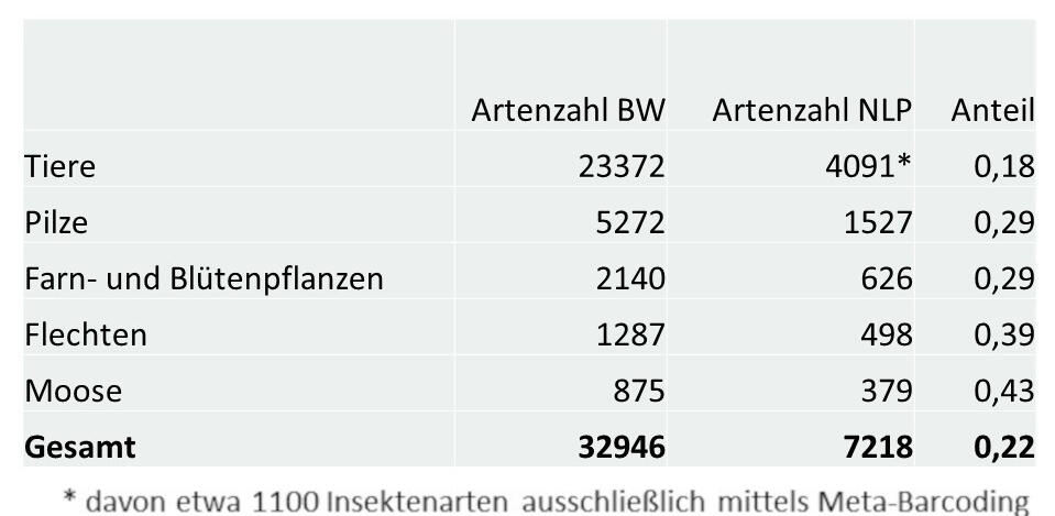 Tabelle der Anteile der Großgruppen an der Artenvielfalt im Nationalpark Schwarzwald im Vergleich zu Baden Württemberg