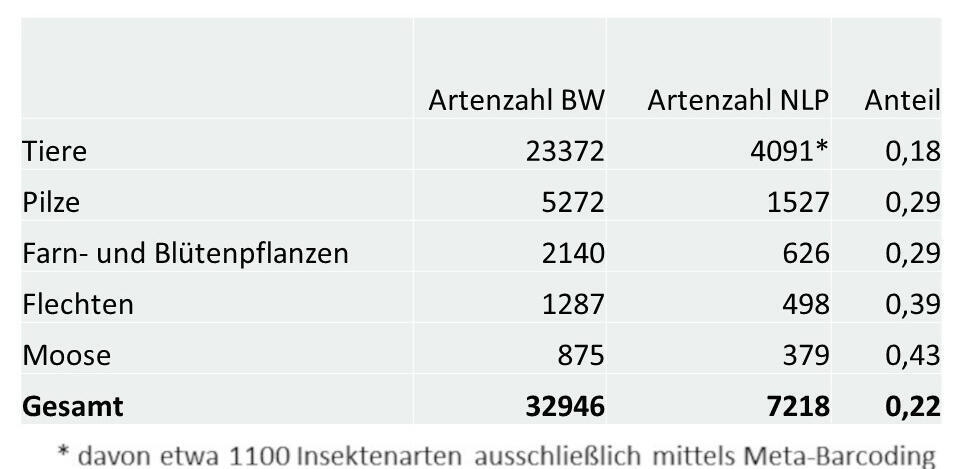 Tabelle der Anteile der Großgruppen an der Artenvielfalt im Nationalpark Schwarzwald im Vergleich zu Baden Württemberg