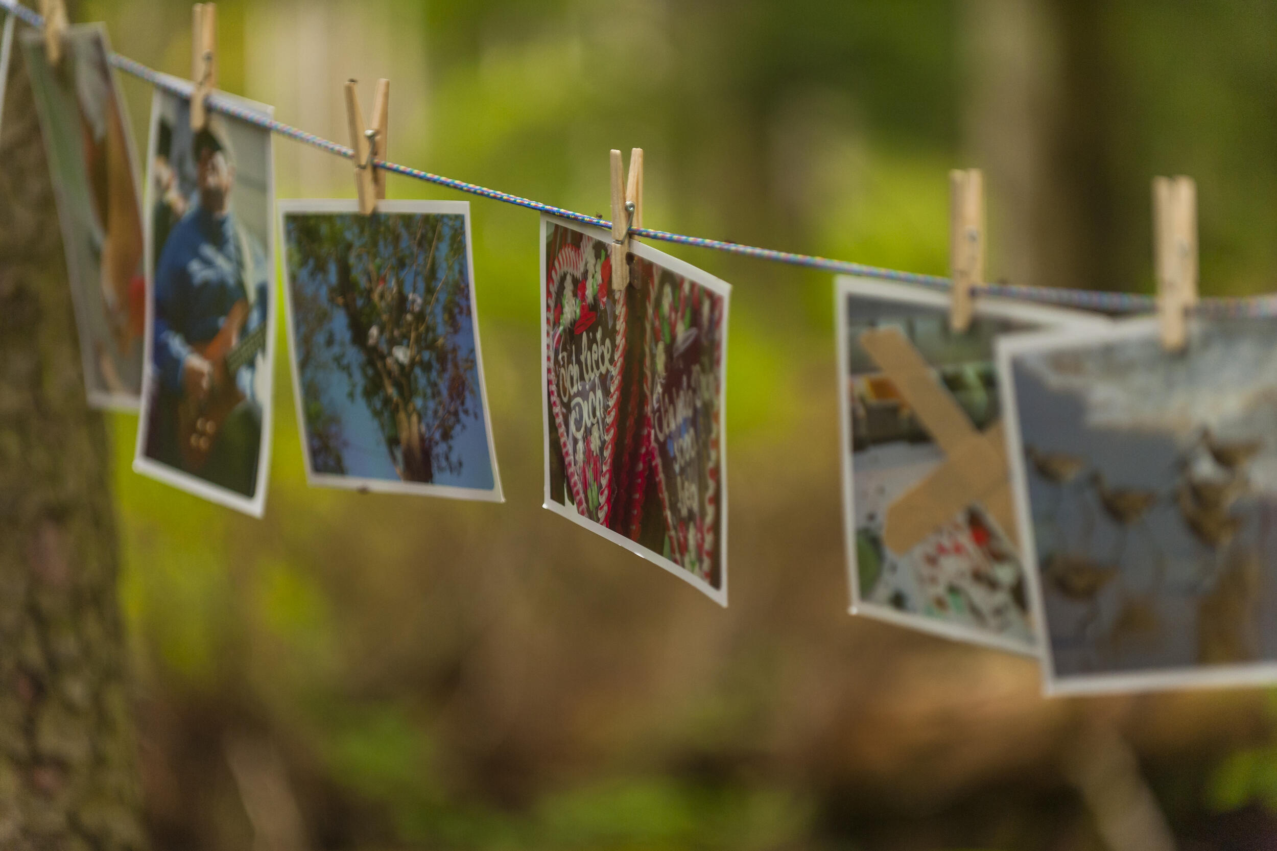 Bilder zu verschiedenen Themen hängen an einer Schnur im Wald