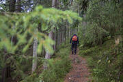 © Daniel Müller (Nationalpark Schwarzwald)