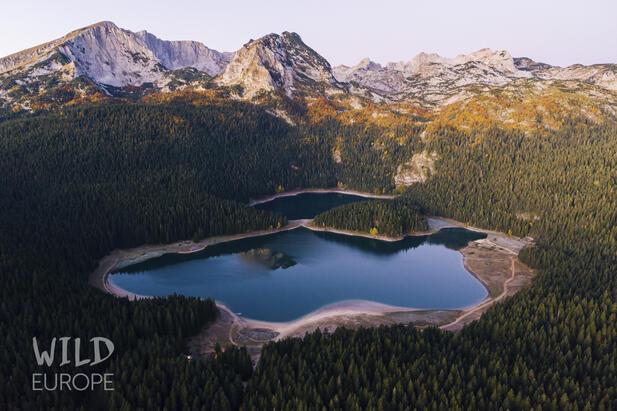 Luftaufnahme eines Sees im Nationalpark Durmitor; rund um den See ist Wald, im Bildhintergrund ein Gebirgsmassiv. © blackforestcollective.com