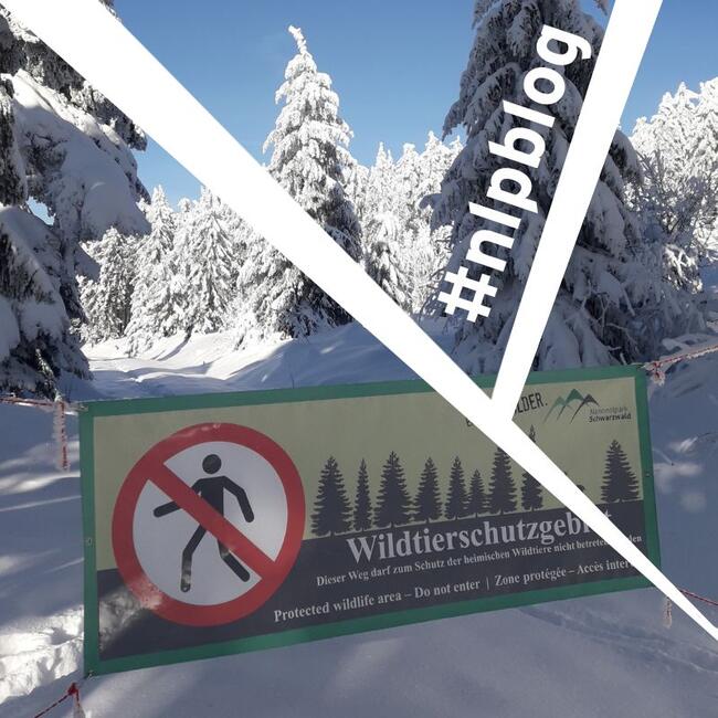 Eine winterliche Landschaft. Im Vordergrund ist ein Schild mit der Aufschrift "Wildtierschutzgebiet" und einem durchgestrichenen, roten Kreuz. Foto: Arne Kolb 