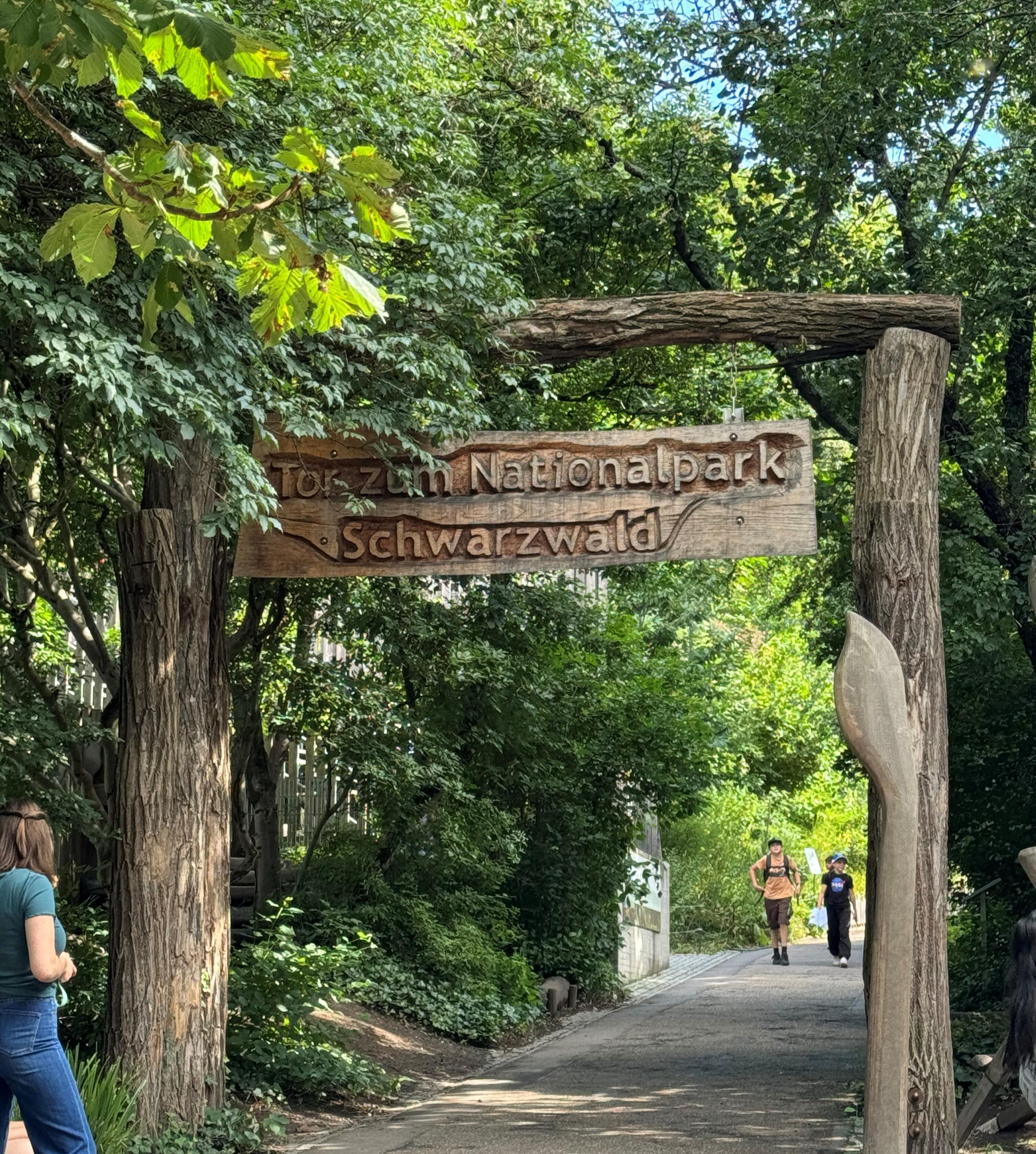 Ein hohes Tor aus Holz mit der Aufschrift "Tor zum Nationalpark Schwarzwald"