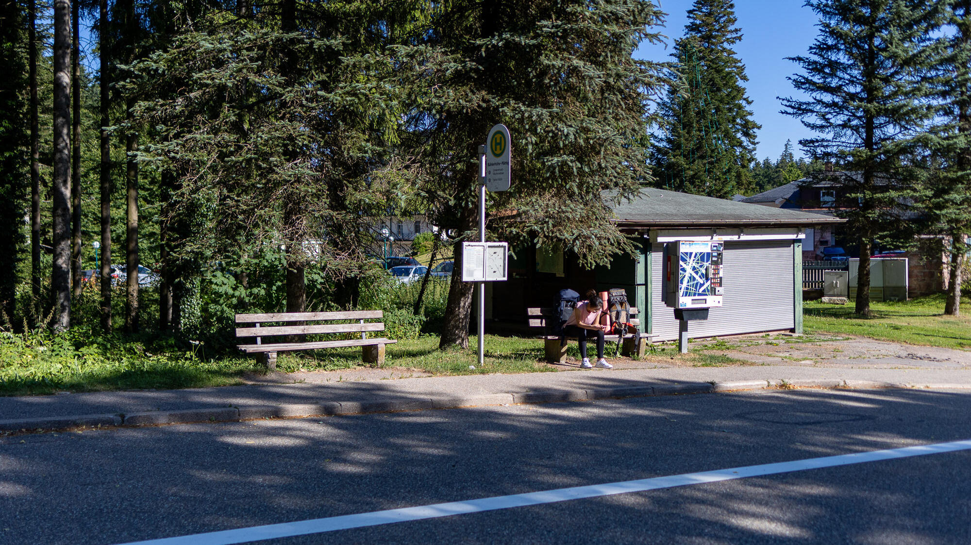 Das Bild zeigt eine sonnenbeschienene Bushaltestelle. Auf der Wartebank sitzt eine Person. Im Hintergrund stehen einige große Nadelbäume. 