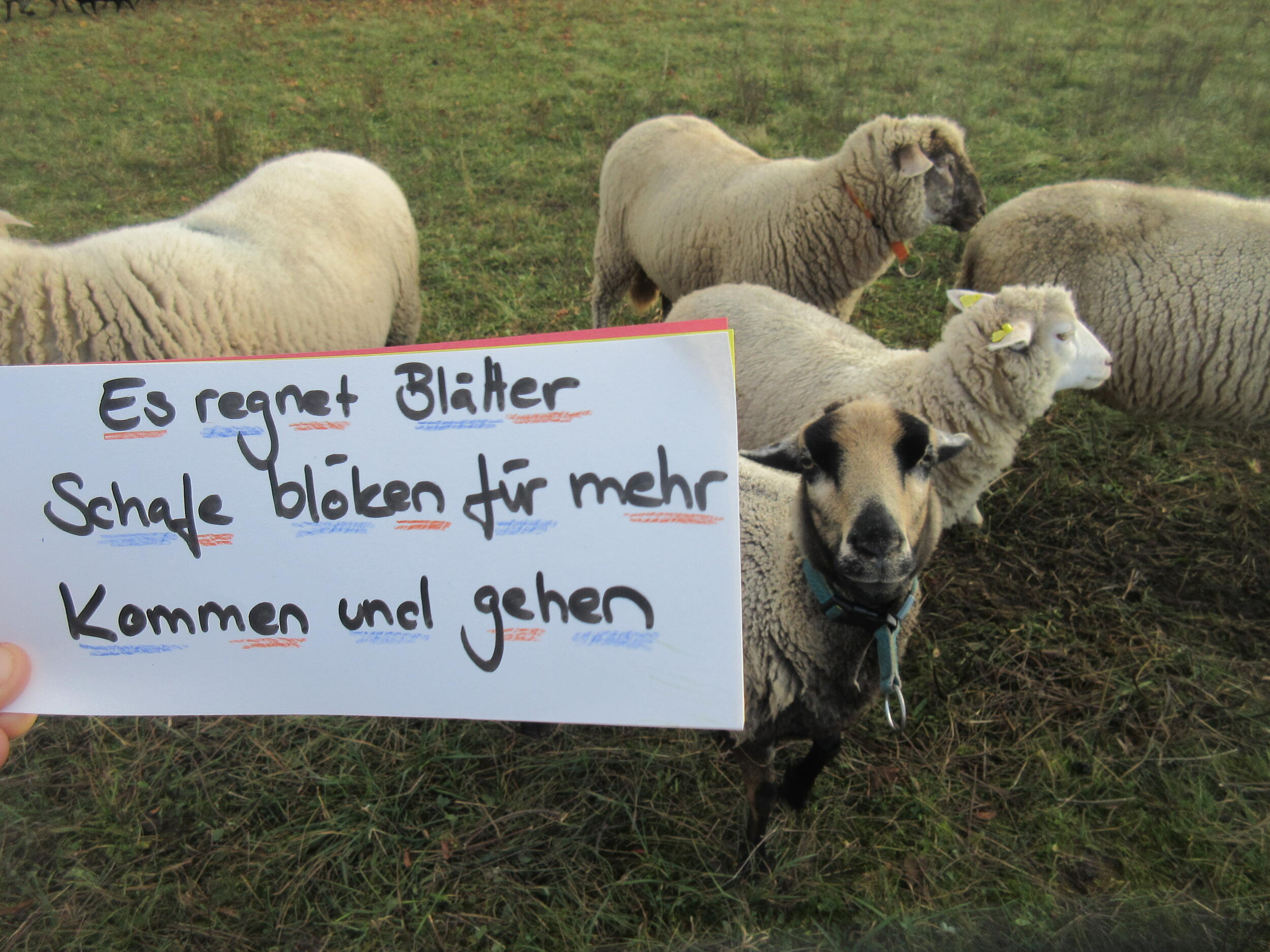 Haiku Beispiel © Marga Bahr Haiku Beispiel © Marga Bahr