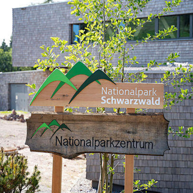 Schild Nationalpark Schwarzwald über dem Schild Nationalparkzentrum mit einem jungen Baum und dem neuen Nationalparkzentrum am Ruhestein im Hintergrund. Foto: Daniel Müller