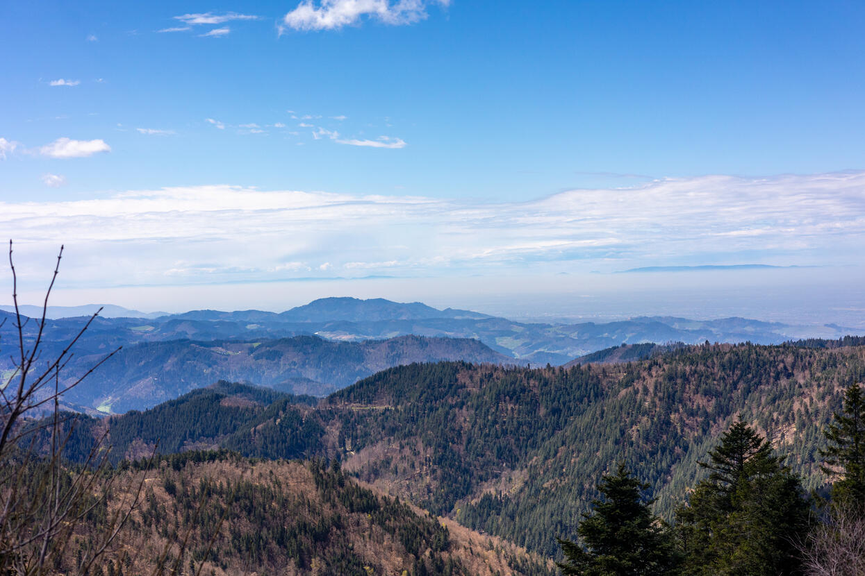 Panoramablick über Schwarzwaldhügel unter leicht blau diesigem Himmel