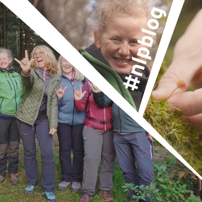 Collage aus drei Bildern: Eine Gruppe fröhlicher Menschen in Wanderkleidung stehen an einem Waldrand; Porträt einer herzlich lachenden Frau mit hellen Haaren; Eine Nahaufnahme einer Hand, die vorsichtig einen winzigen Pilz im grünen Moos berührt. Fotos: Juliane Schrempp