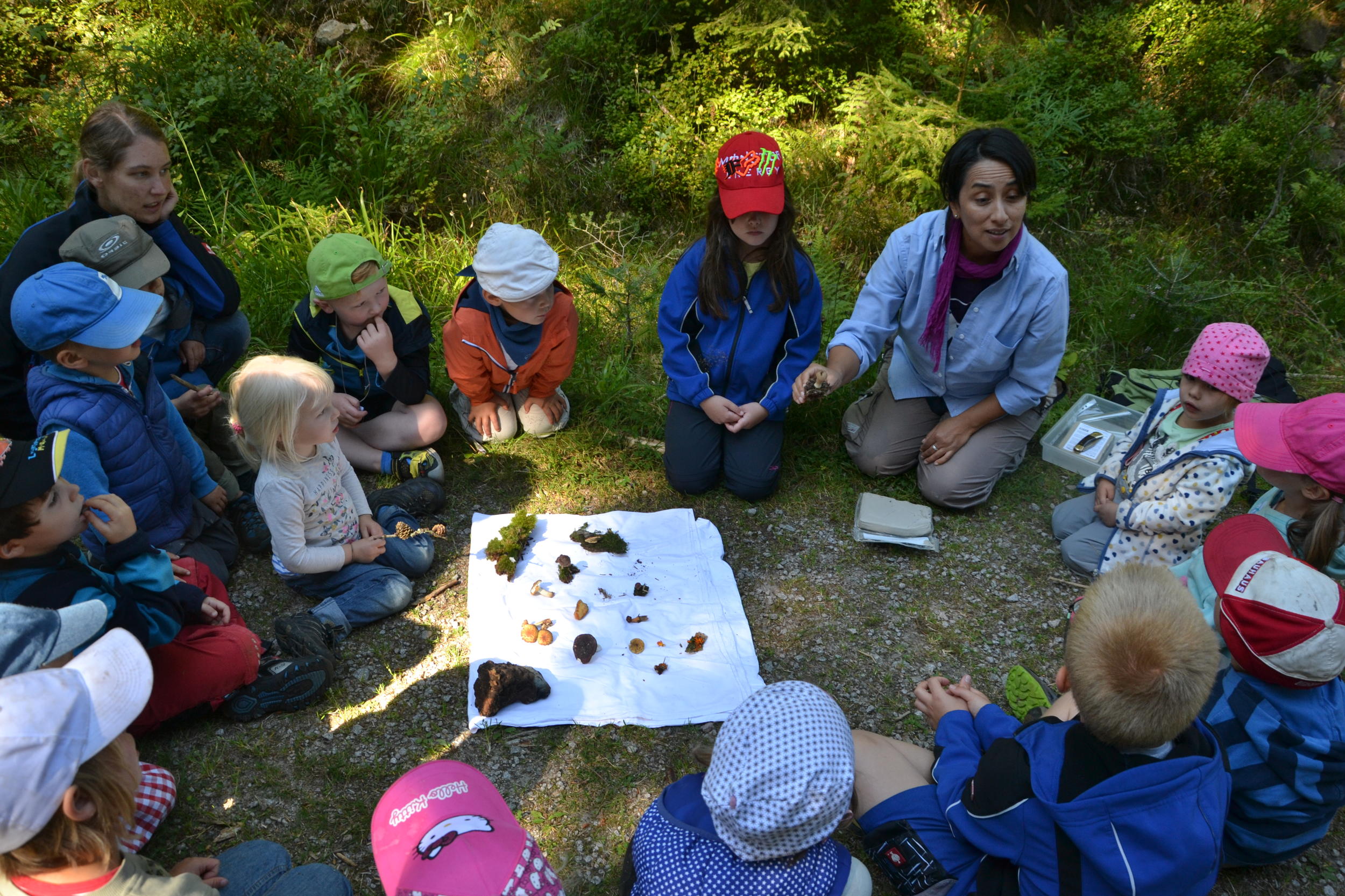 Eine Gruppe Kindergartenkinder sitzt im Kreis um ein Tuch, auf dem einige Naturfunde wie Moos und Pilze ausgelegt sind. Sie höhren einer Frau zu, die etwas dazu erzählt.