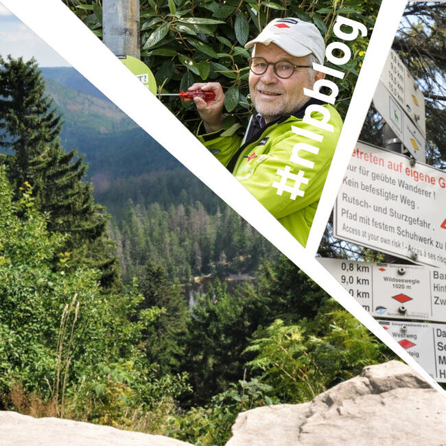 Collage aus drei Bildern: Blick auf einen See im Wald, ein Mann in hellgrüner Jacke, mehrere Wegweiser übereinander. Fotos: Nina Blazon, Schwarzwaldverein
