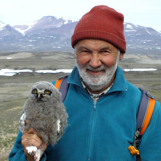 Mann mit Roter Mütze und Baart hält eine Schneeeule auf der Hand