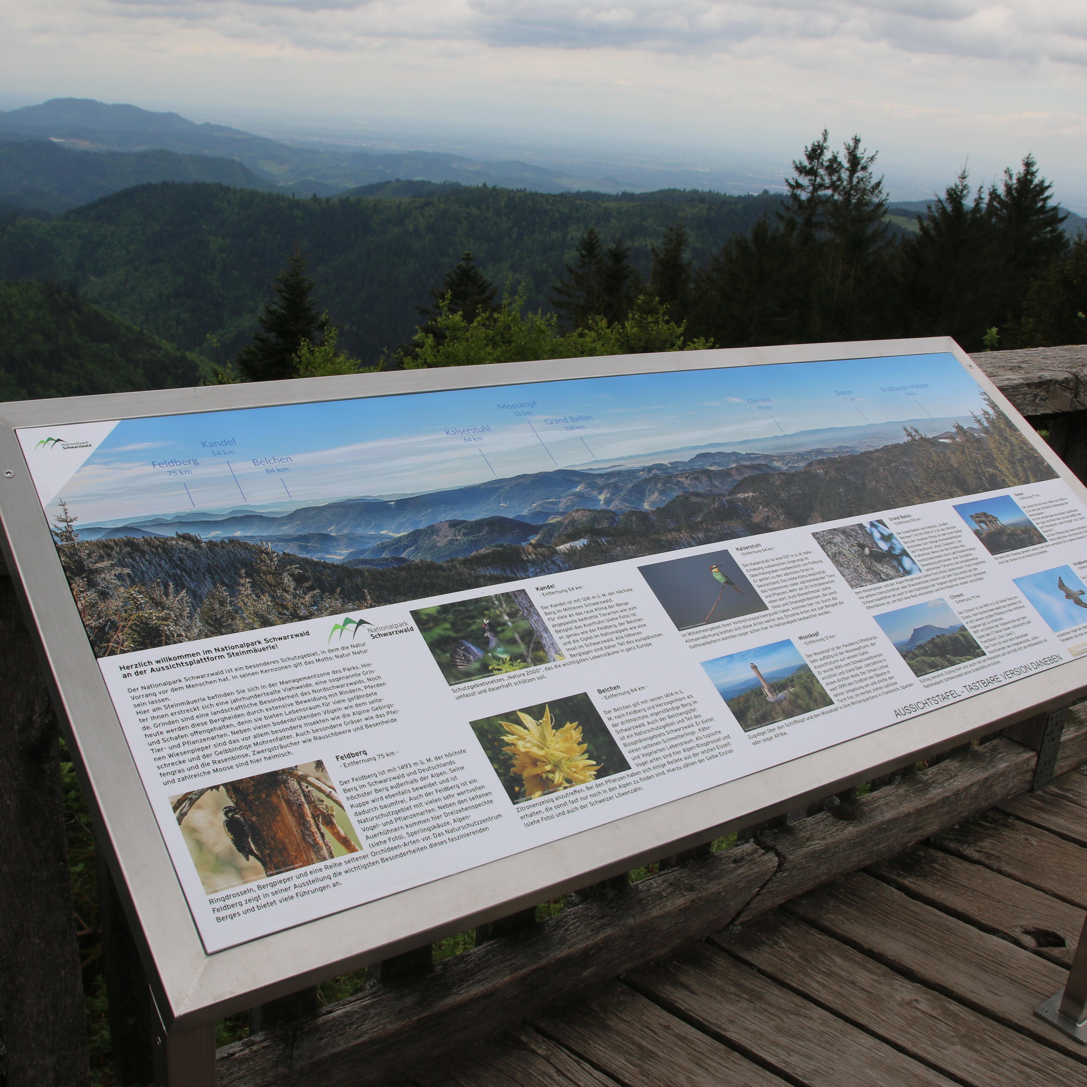 Infotafel an der Aussichtsplattform "Steinmäuerle"
