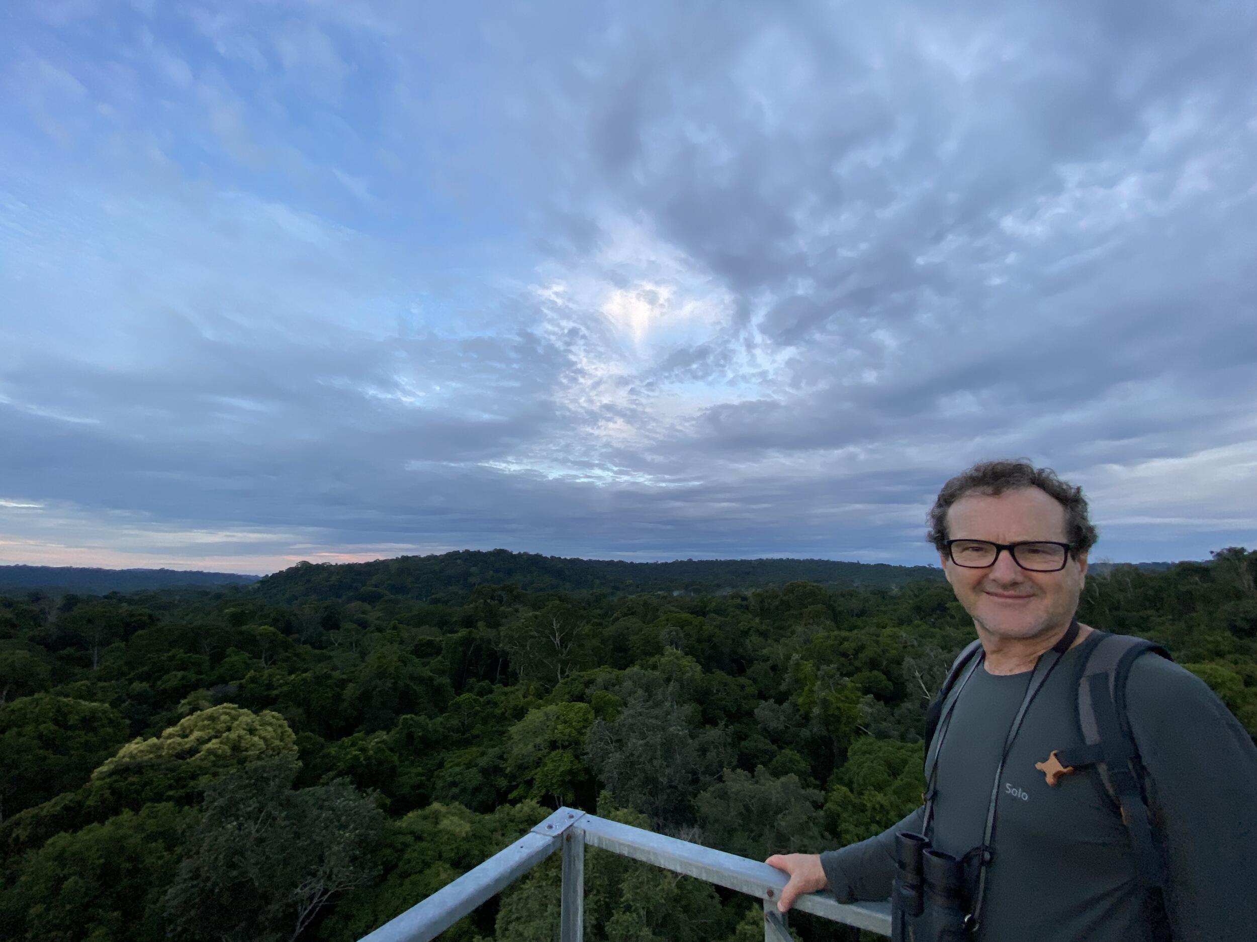 Ein Mann steht auf einer Aufsichtsplattform. Im Hintergrund Regenwald.