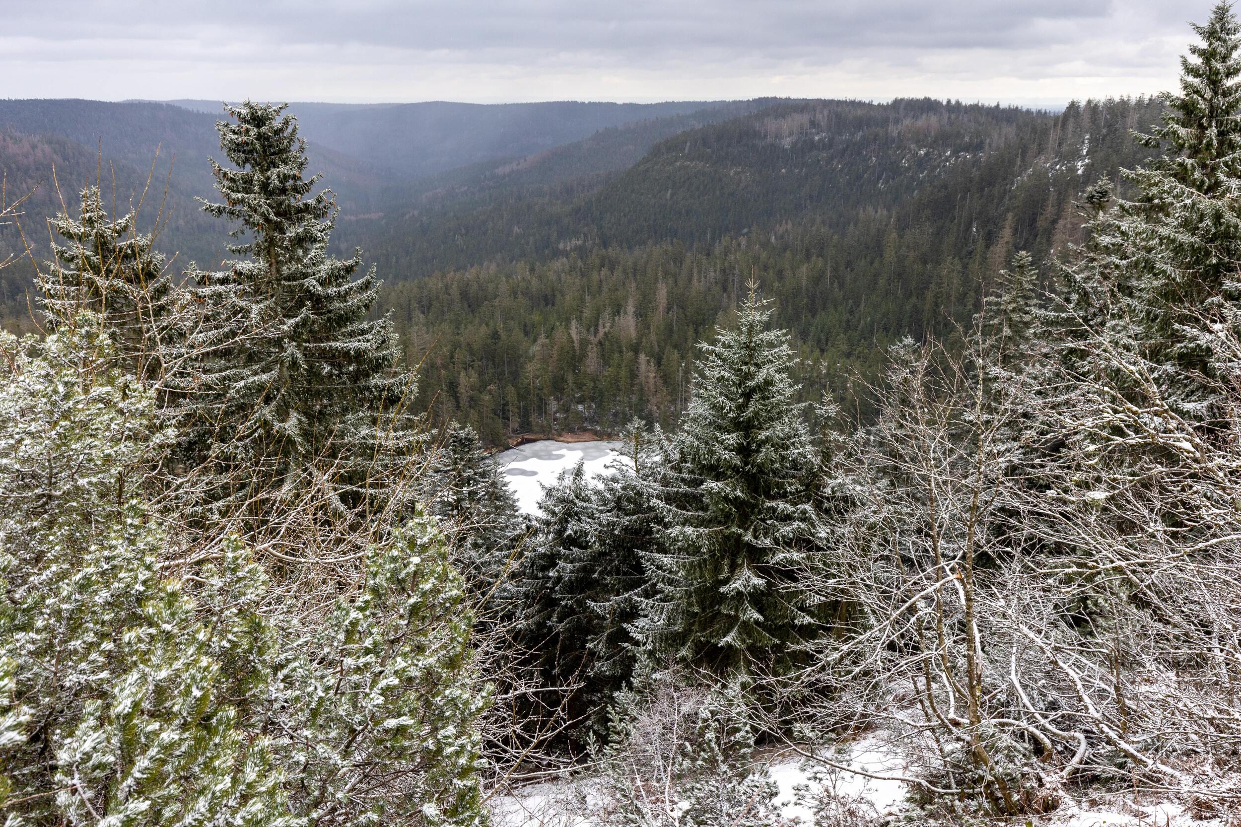 Blick auf den Wilden See im Winter