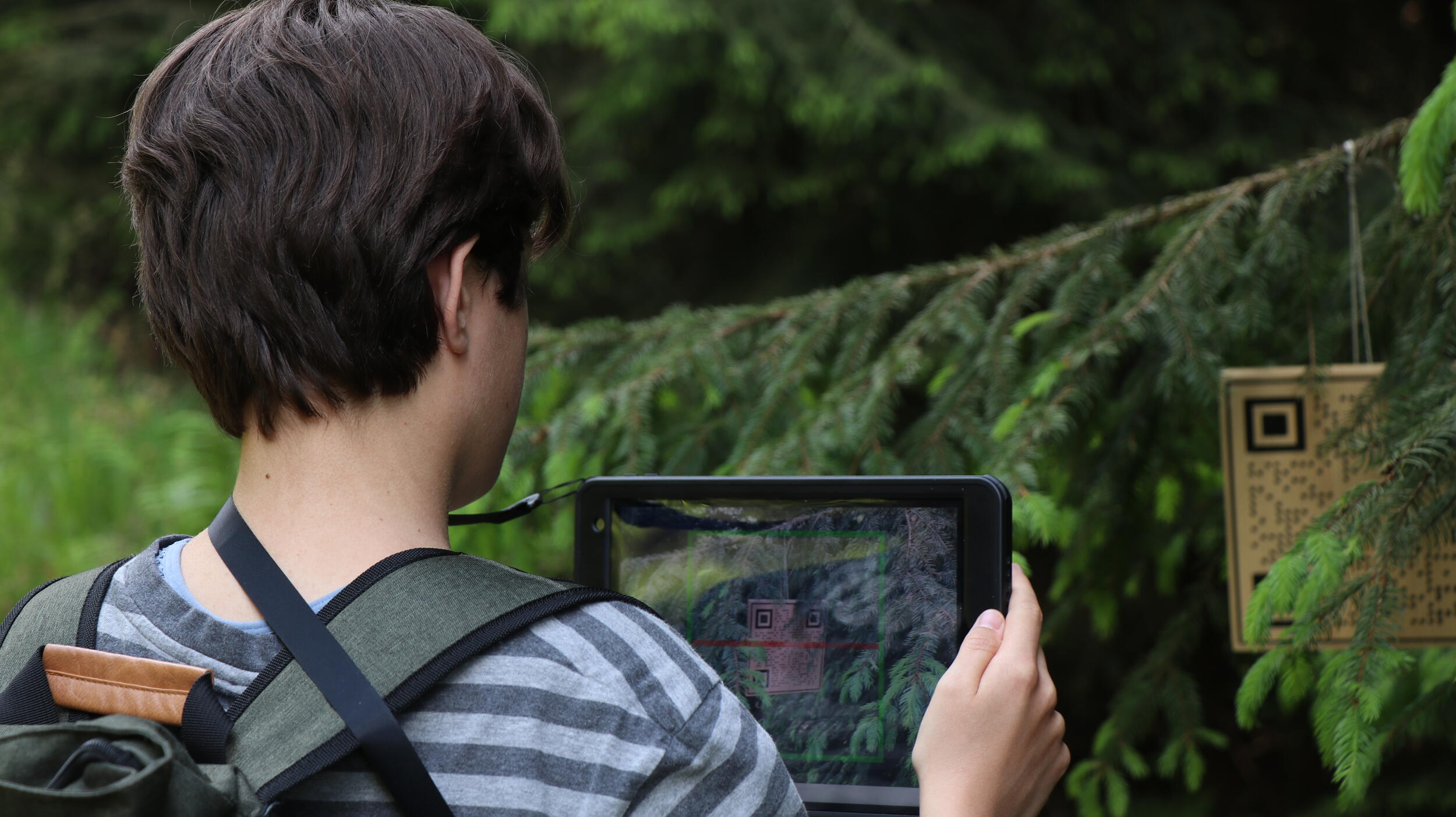 QR Code im Wald mit einem Tablet scannen