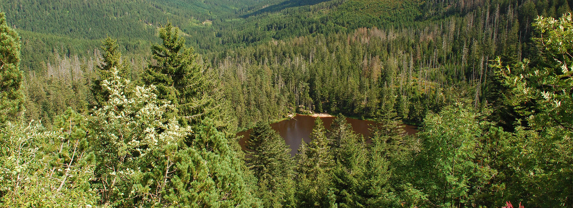 Aufnahme des Wildsees vom Wildseeblick - Foto: Charly Ebel