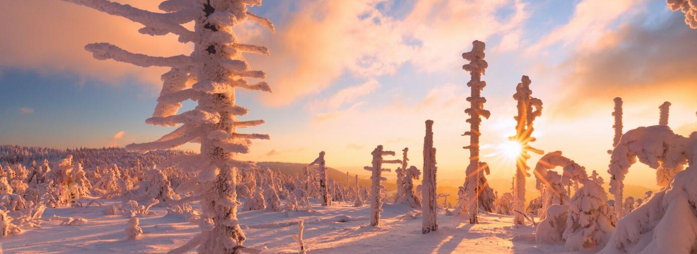 © Adam Schnabler_Winter im Nationalpark Schwarzwald