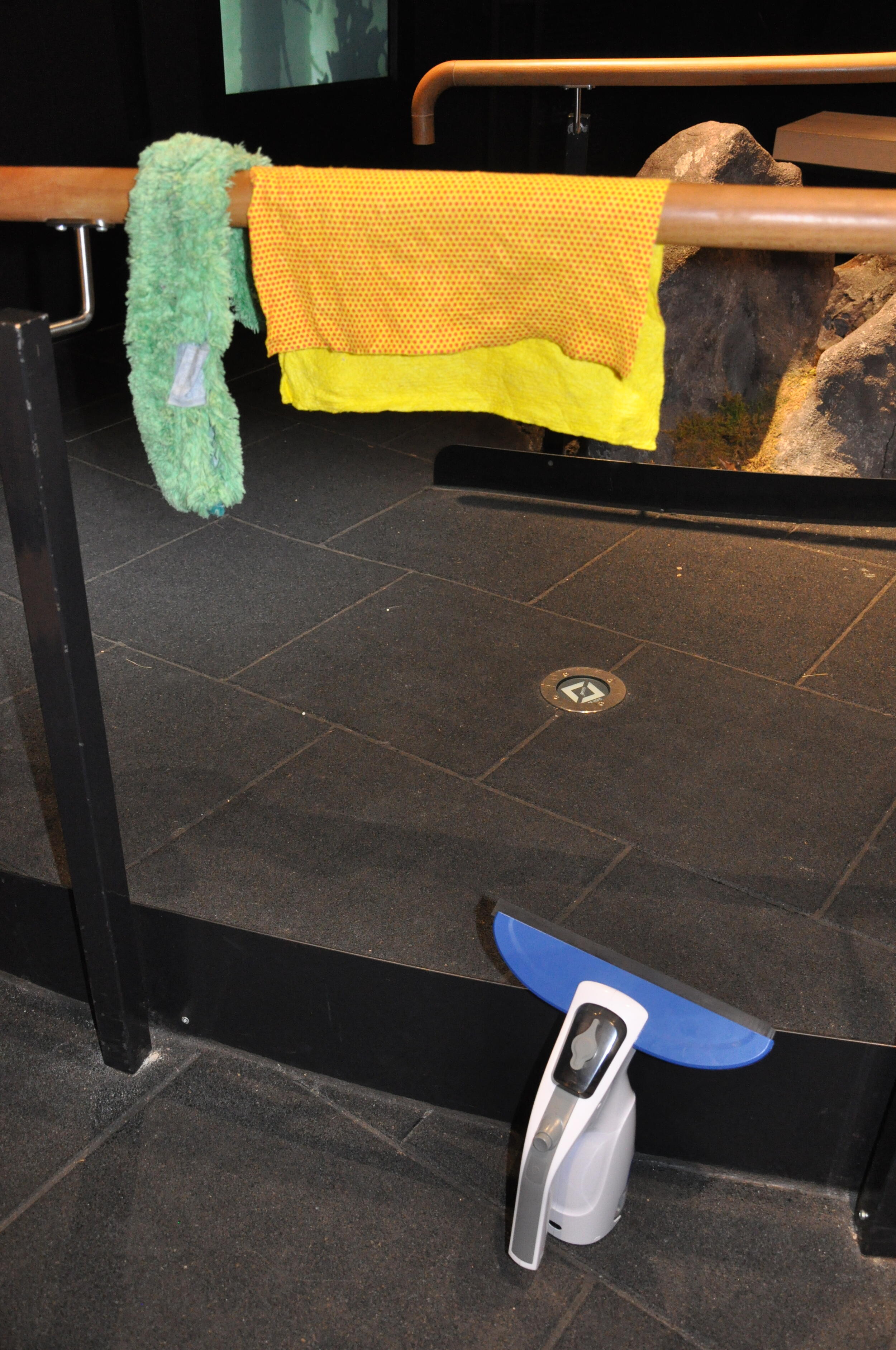 Putzlappen und Fensterreiniger. Foto: Iris Lemanczyk