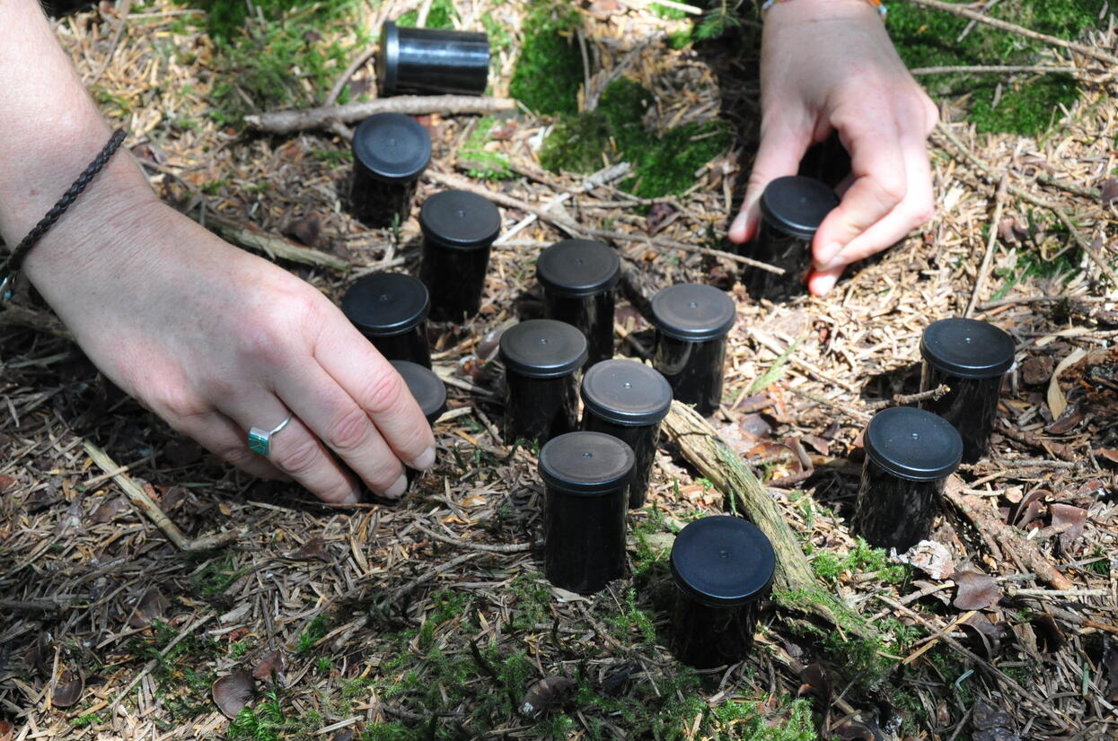 Null Treffer beim Hören-Memory. © Nina Blazon Kleine schwarze Dosen liegen auf dem Boden. Eine Frau nimmt eine Dose in die Hand (Nahaufnahme). Foto: Nina Blazon