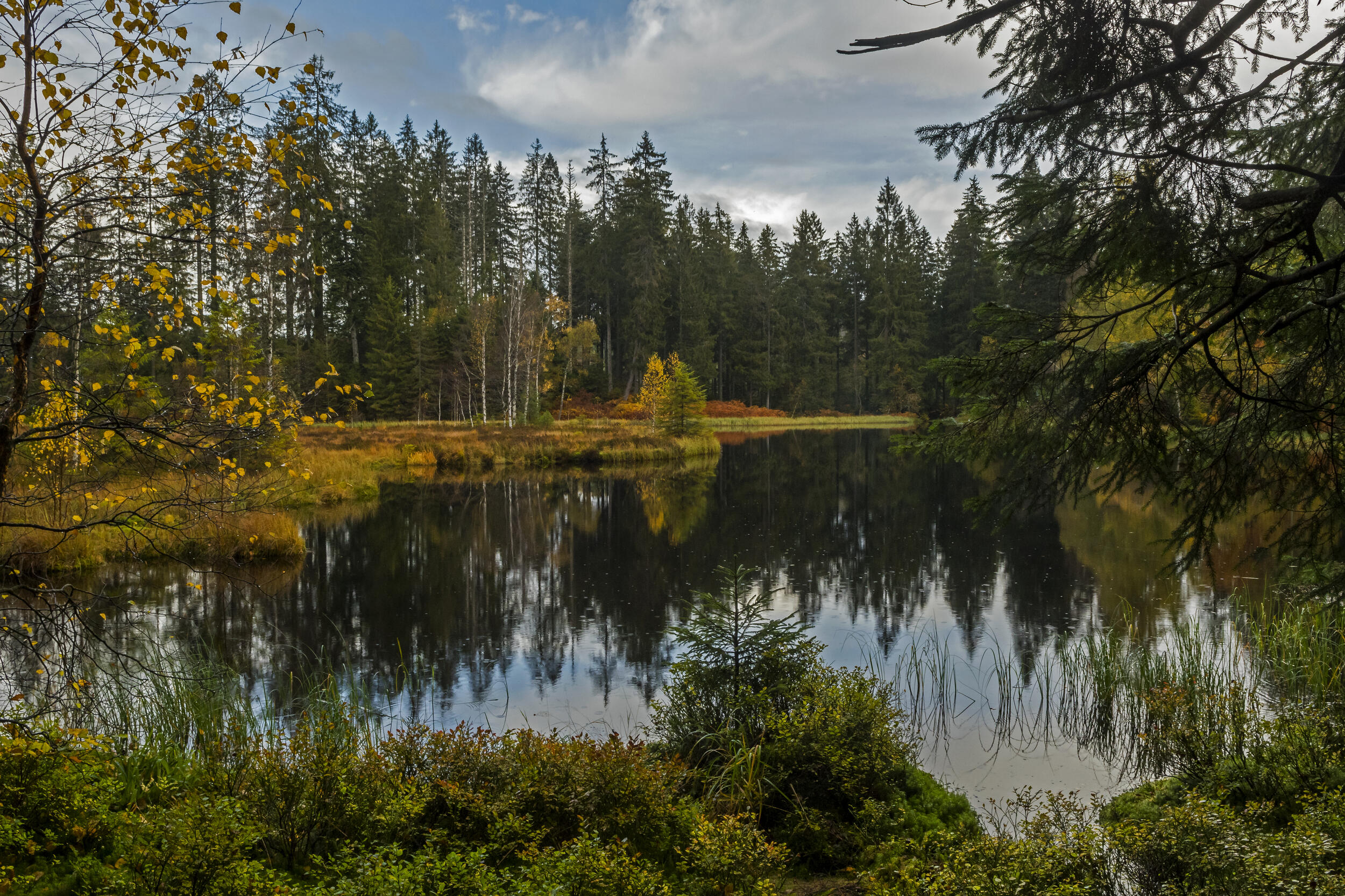 Buhlbachsee © Luis Scheuermann (Nationalpark Schwarzwald)