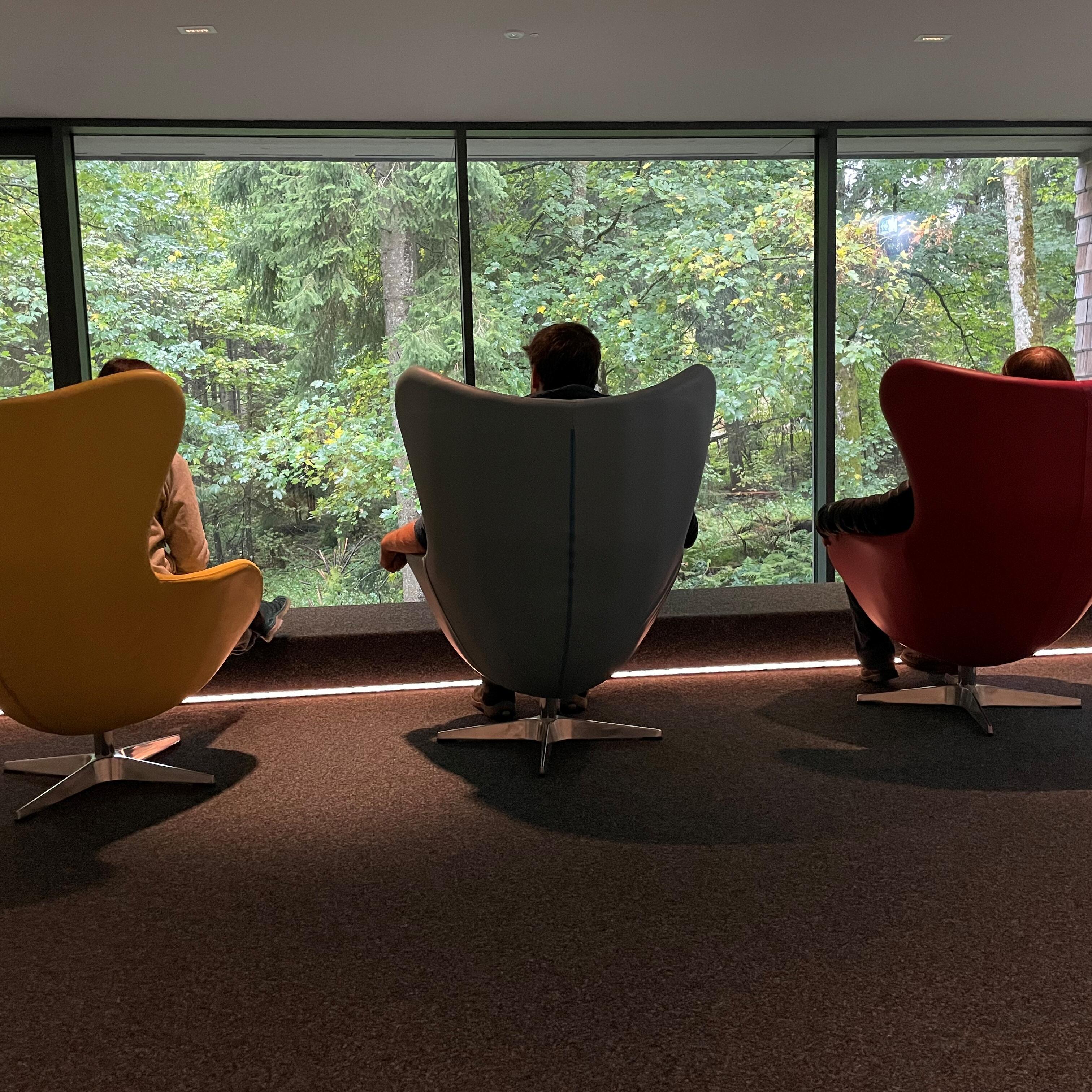 3 Bunte Sessel vor großem Panoramafenster mit Blick in den Wald