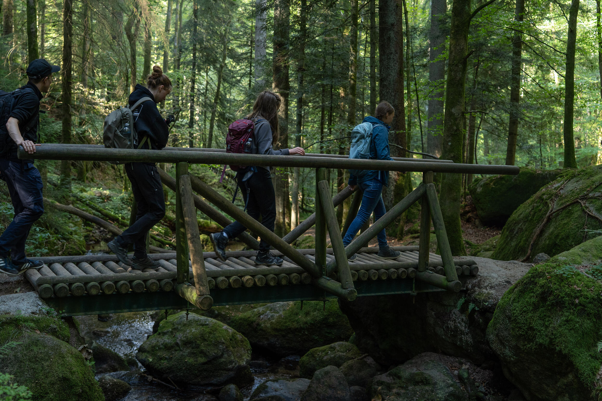 Eine Gruppe junger Menschen laufen über eine hölzerne Brücke im Wald. Foto: Vanessa Peter
