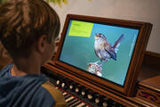 Die Auswahl auf der Vogel-Orgel ist groß – da wird man schnell zum Vogel-Konzertmeister. 