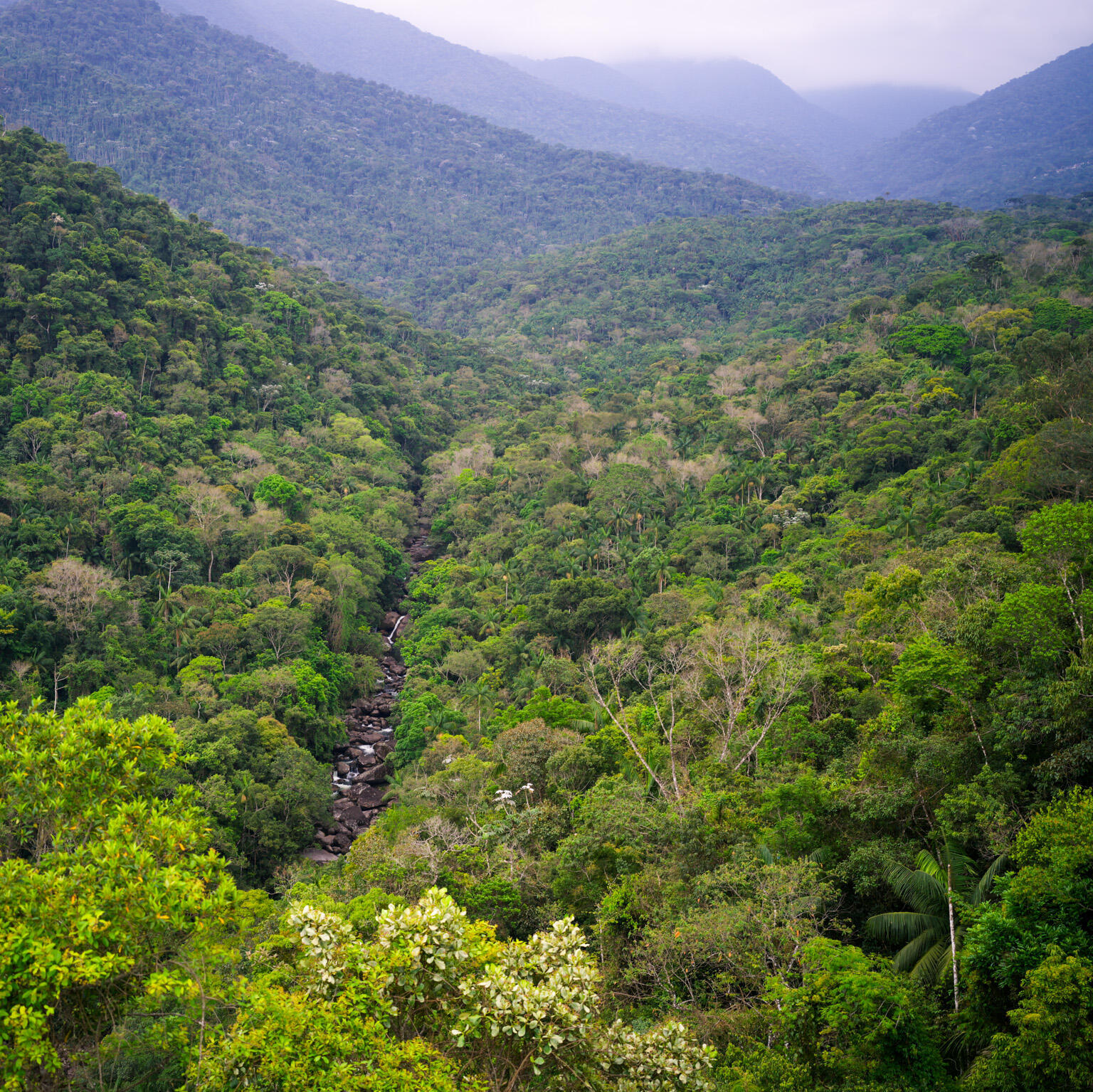 Blick auf ein Flußtal im Itatiaia Nationalpark in Brasilien