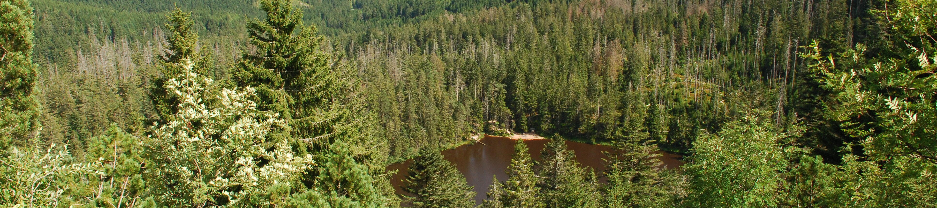 Seeblick auf Nationalpark