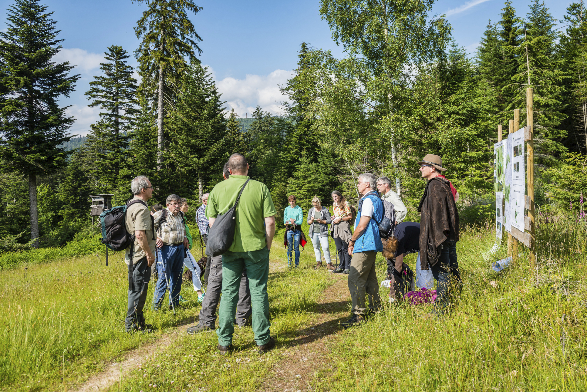 Eine Gruppe von Menschen steht im Wald. Foto: Hans-Peter Hegmann