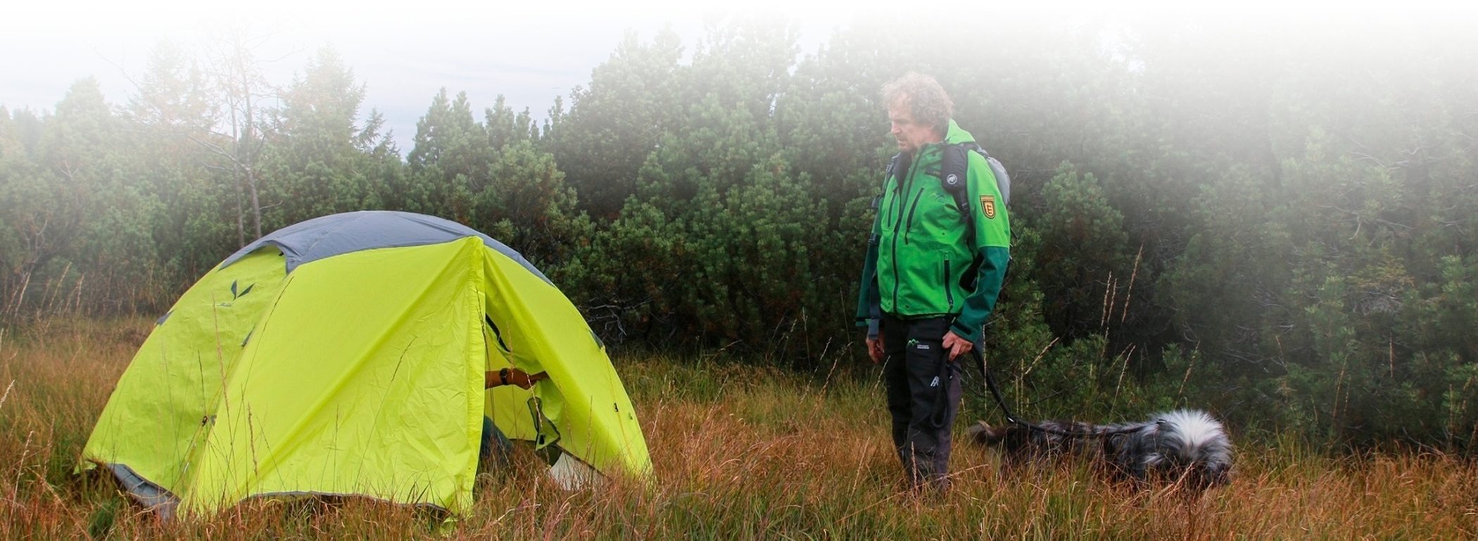 Ein Ranger steht vor einem Zelt, welches auf einer Wiese im Nationalpark steht. Dabei handelt es sich um Wild-campen was in einem Großschutzgebiet wie dem Nationalpark Schwarzwald nicht erlaubt ist.
