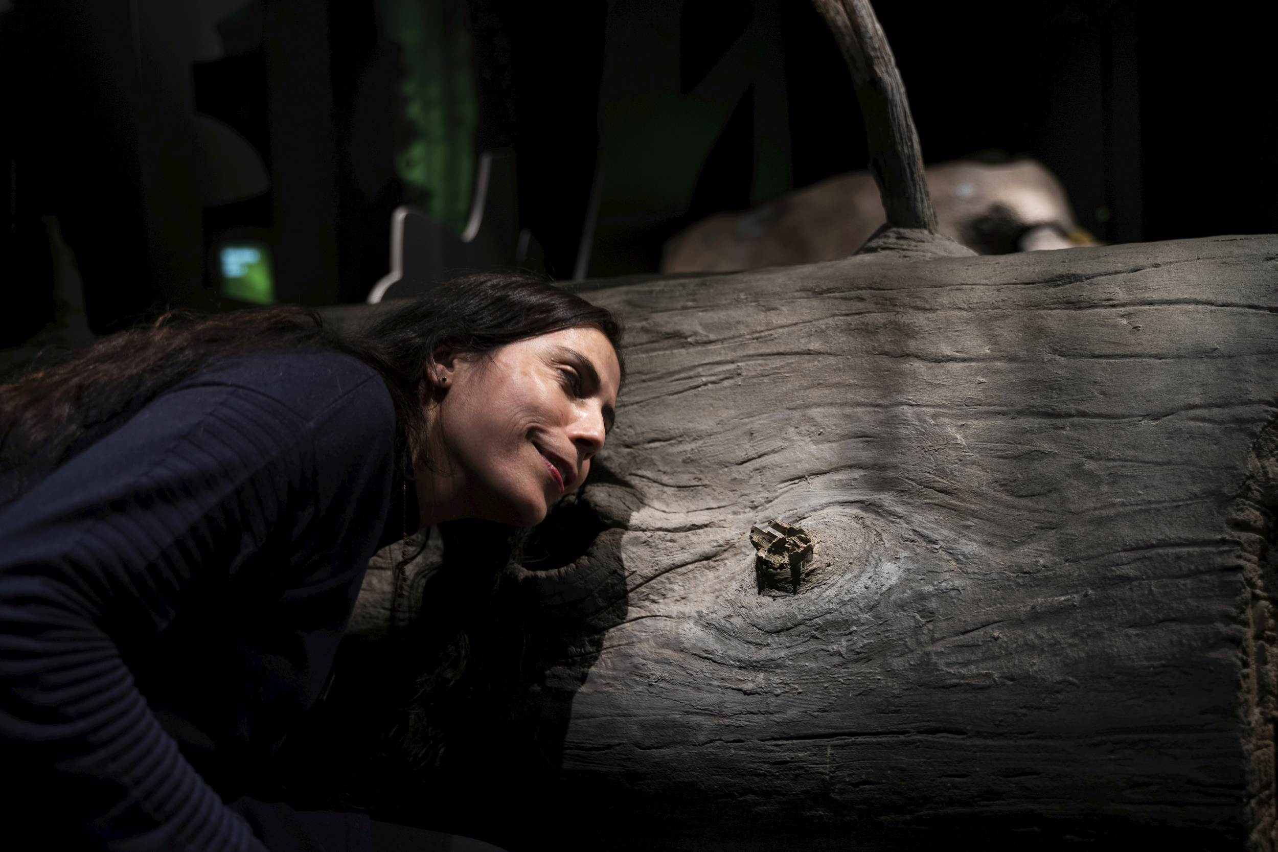 Eine Frau legt ihren Kopf an einen toten Baumstamm. Foto: Daniel Müller