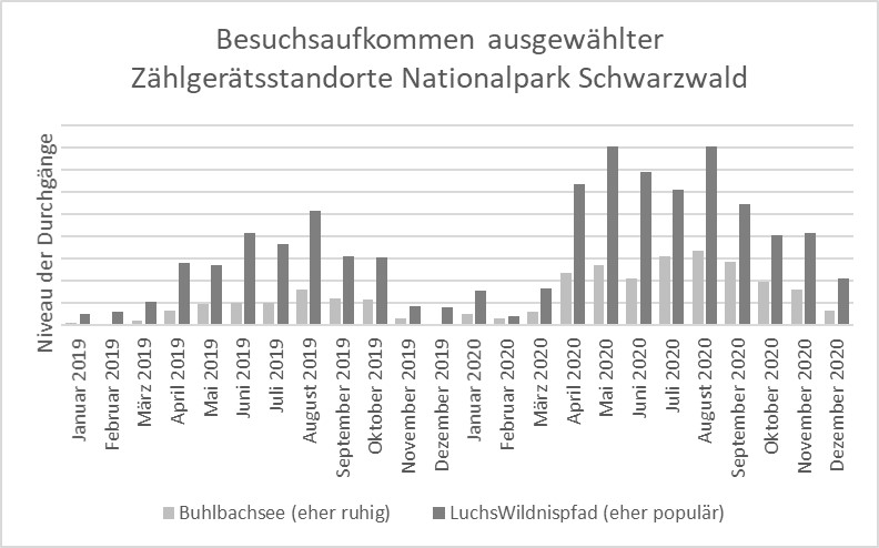 Abb. 1: Besuchsaufkommen ausgewählter Zählgerätsstandorte Nationalpark Schwarzwald © Dominik Rüede Abgebildet ist das monatliche Besuchsaufkommen an den Strandorten Buhlbachsee (eher ruhig) und LuchsWild-nispfad (eher populär) für Januar 2019 bis Dezember 2020. Man sieht für beide Standorte einen deutlichen Zu-wachs in 2020 im Vergleich zu 2019.