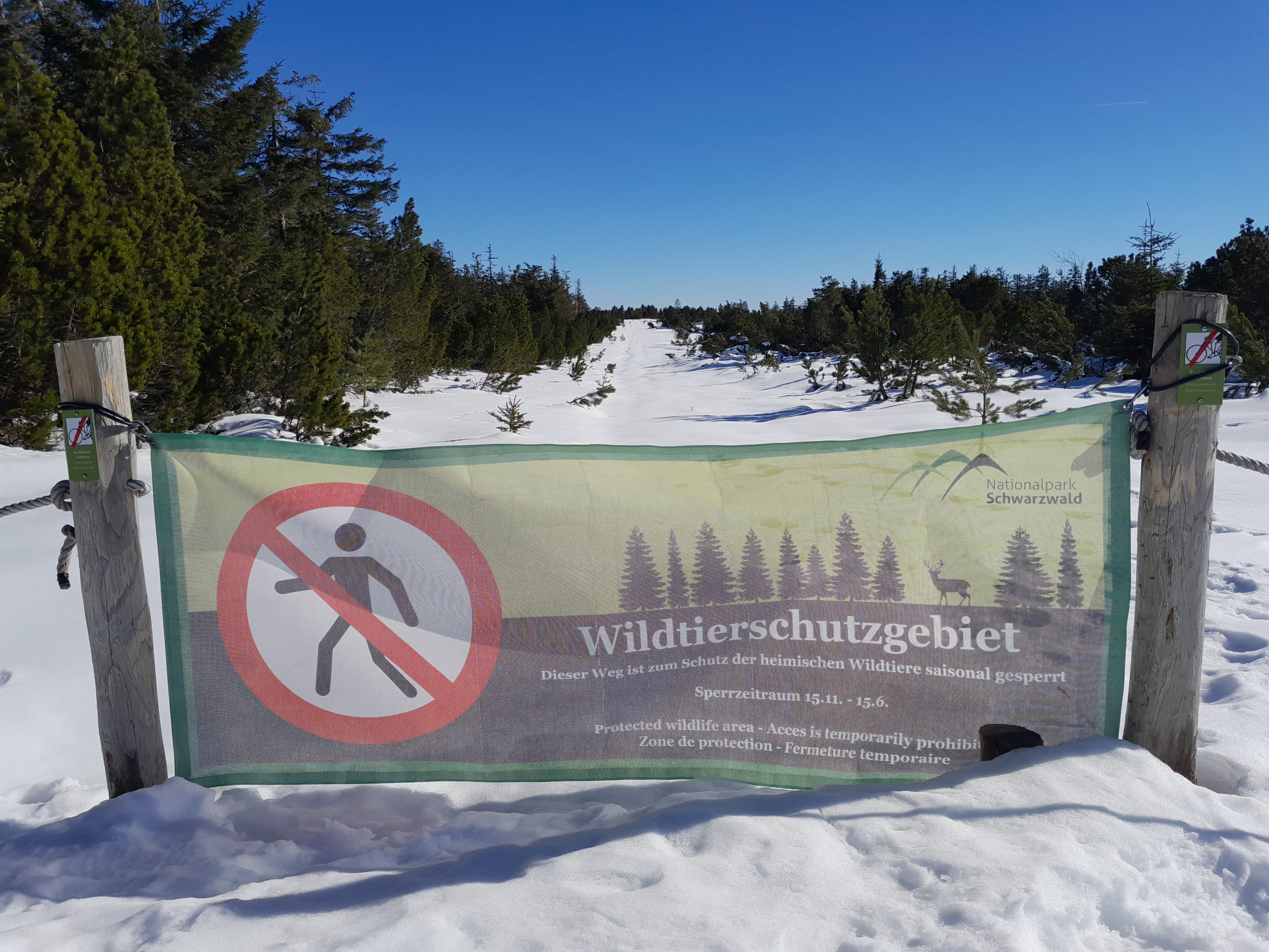 Abb.1: Blick auf einen mit einem Banner "Wildtierschutzgebiet" gesperrten, verschneiten Weg bei Sonnenschein.