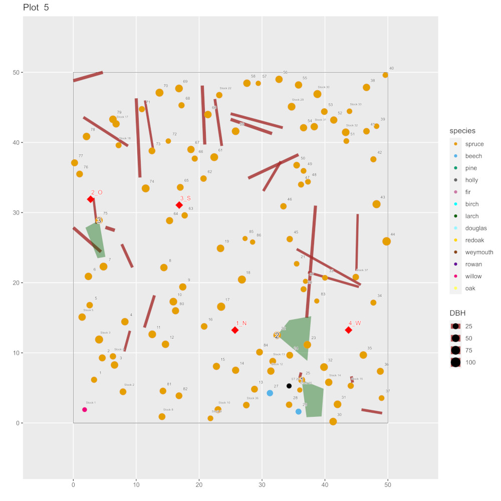 Fläche ohne Strukturanreicherung © Damaris Magaritis