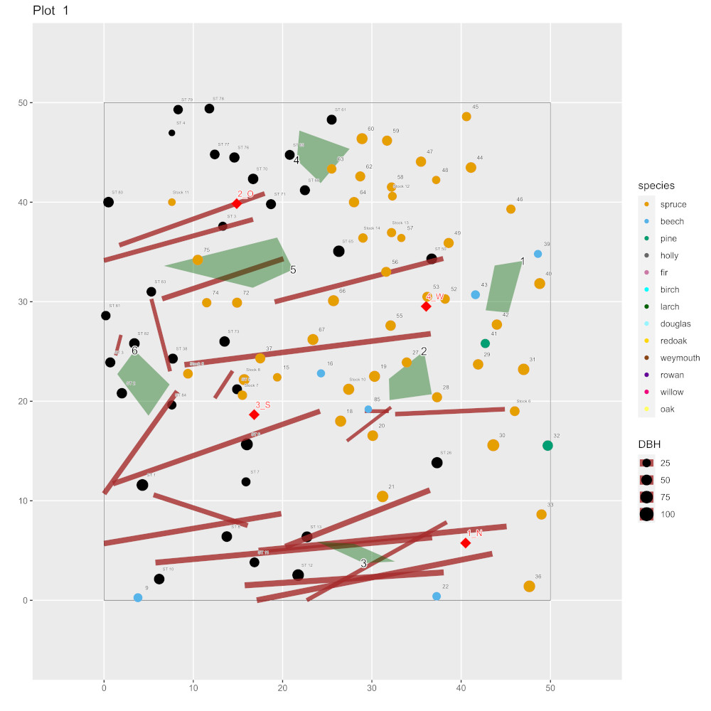 Fläche mit Strukturanreicherung © Damaris Magaritis
