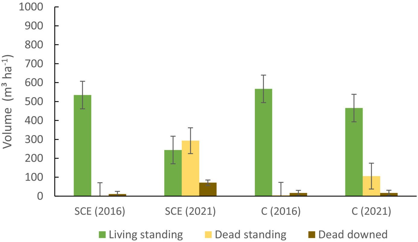 Holzvolumen (lebend, sowie stehendes und liegendes Totholz) in behandelten und nichtbehandelten Flächen, Vergleich 2016 und 2021 © Thomas Asbeck