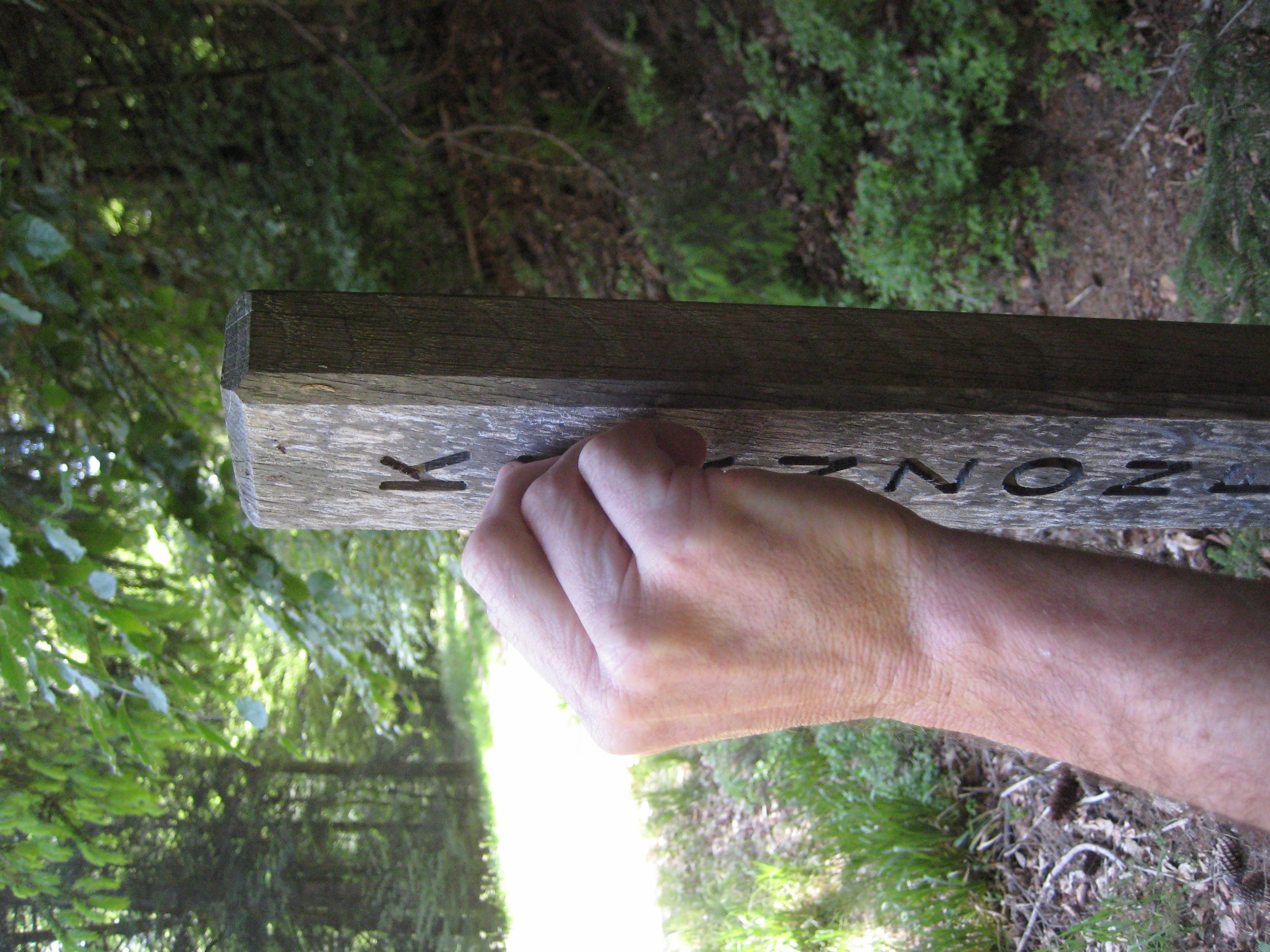 Ein Teilnehmer versucht mit seinen Fingern das Wort „Kernzone“ auf dem hölzernen Schild am Wegesrand zu ertasten. 