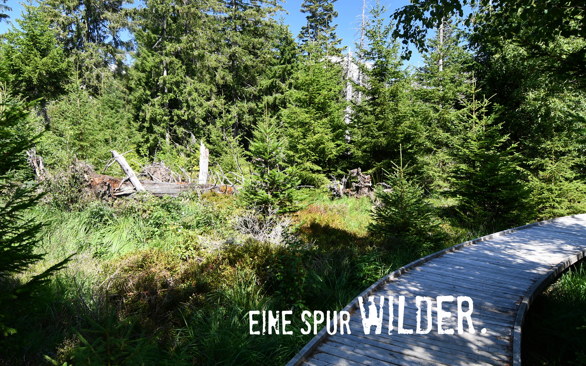 Neuer Erlebnispfad zum Zehnjährigen