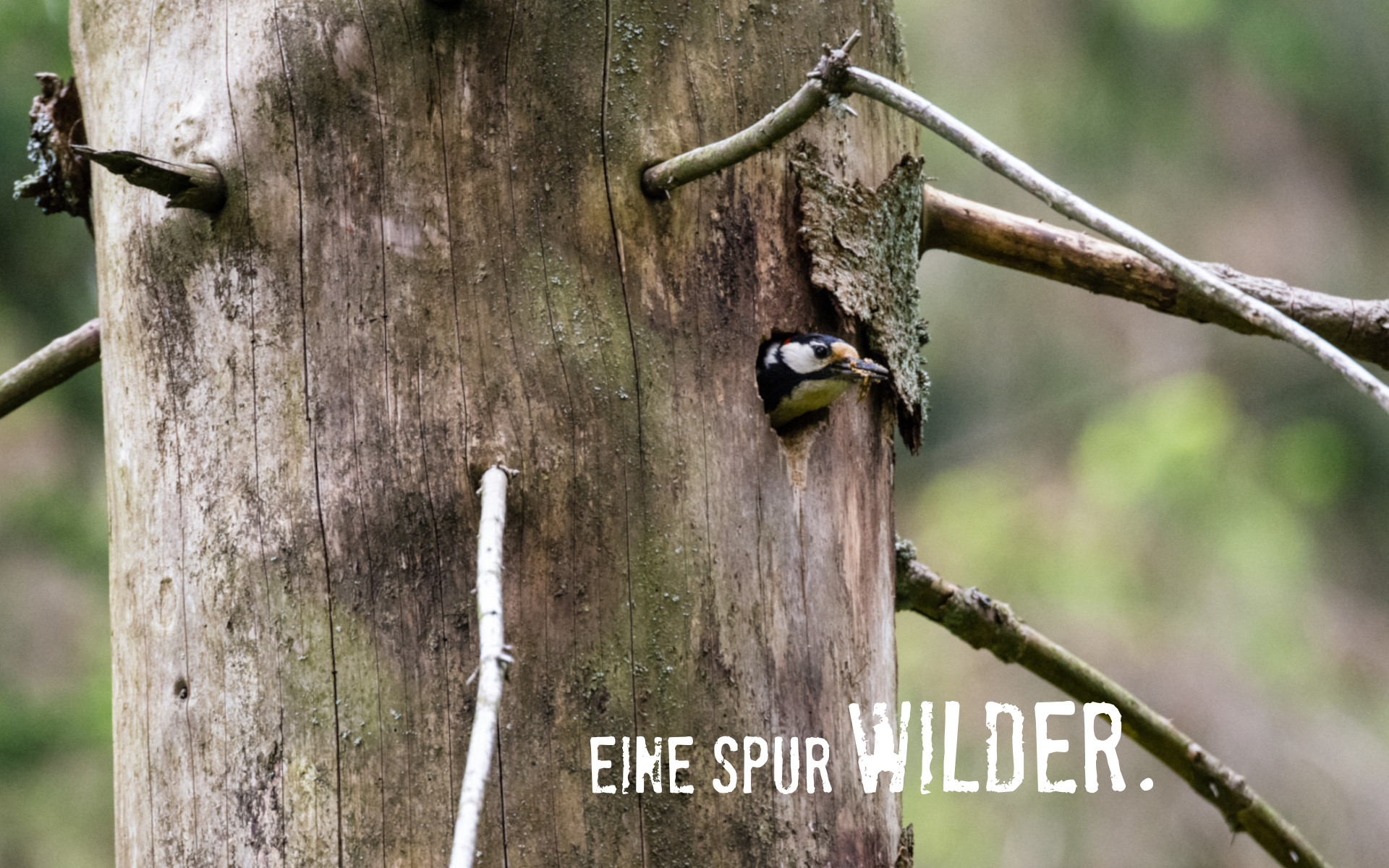 Bestnoten für den Nationalpark