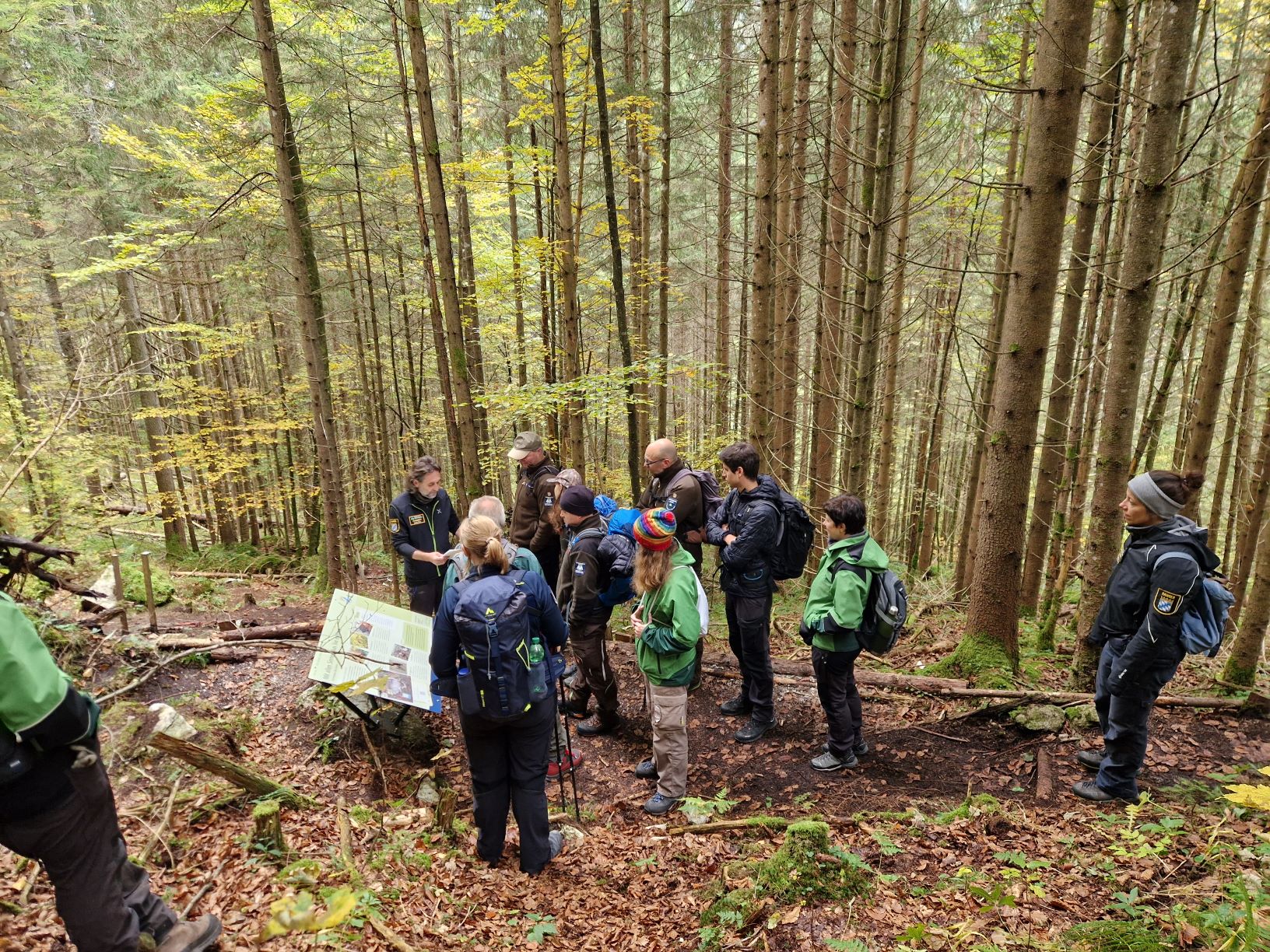 Eine Gruppe Menschen steht im Wald. Sie hören einem Ranger zu. Foto: Nadine Berger