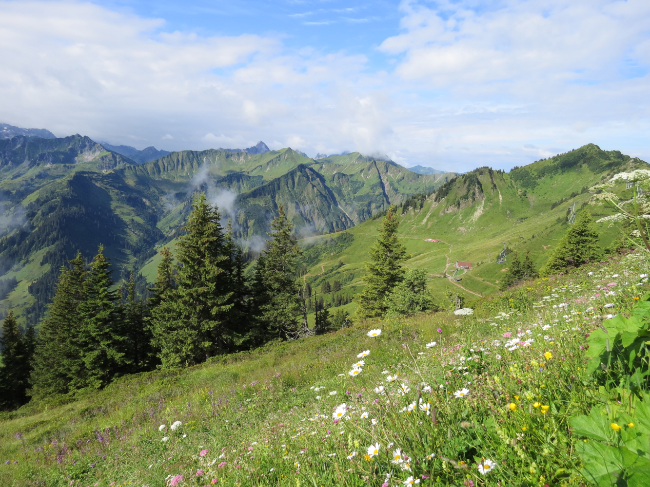 Typischer Lebensraum des Zitronenzeisigs am Walmendinger Horn (Vorarlberg, Österreich) auf etwa 1.990 m Meereshöhe.
