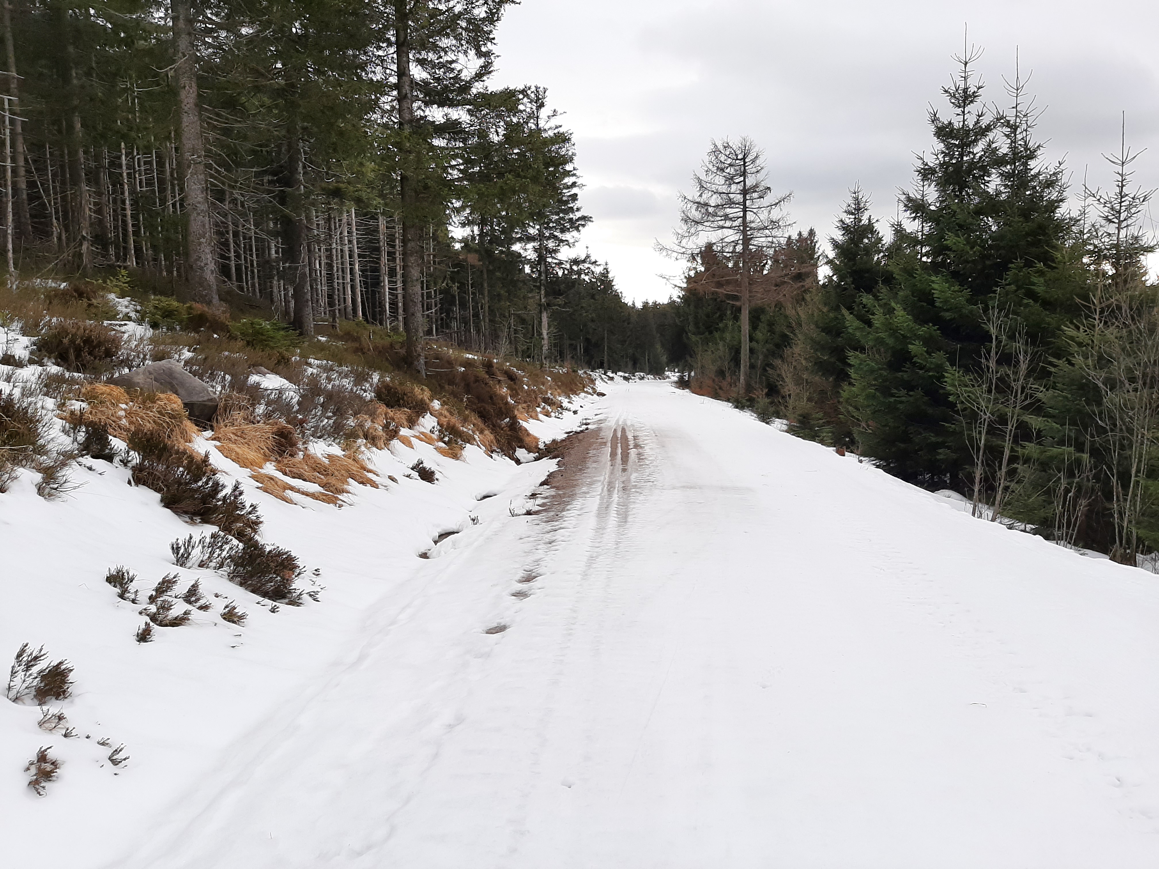 Eine leicht verschneite winterliche Landschaft. Ein Weg führt durch den Wald. Foto: Tim Tschöpe 