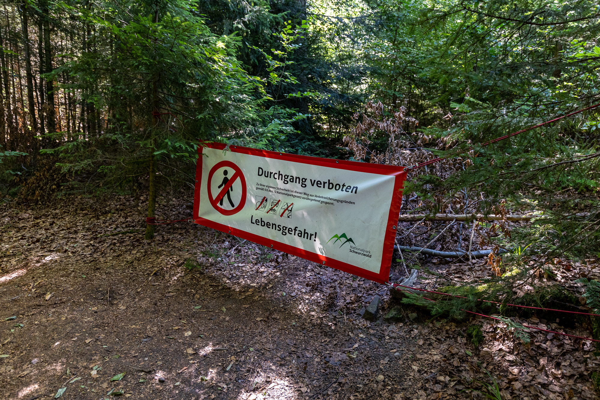 Ein Plakat mit der Aufschrift "Durchgang verboten. Lebensgefahr" hängt im Wald. Foto: Iris Lemanczyk 