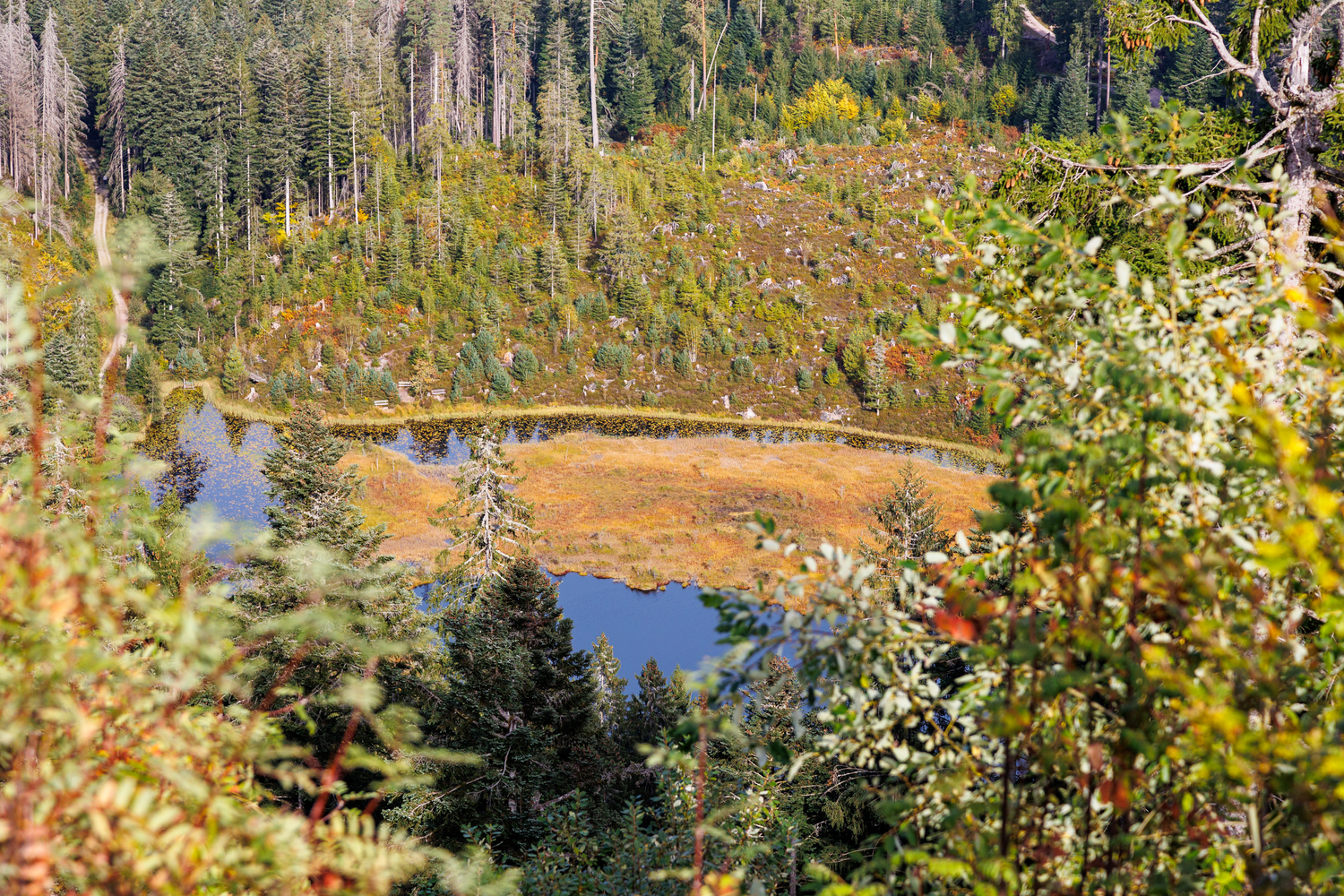 Blick auf den Huzenbacher See. Foto: Andreas Forch