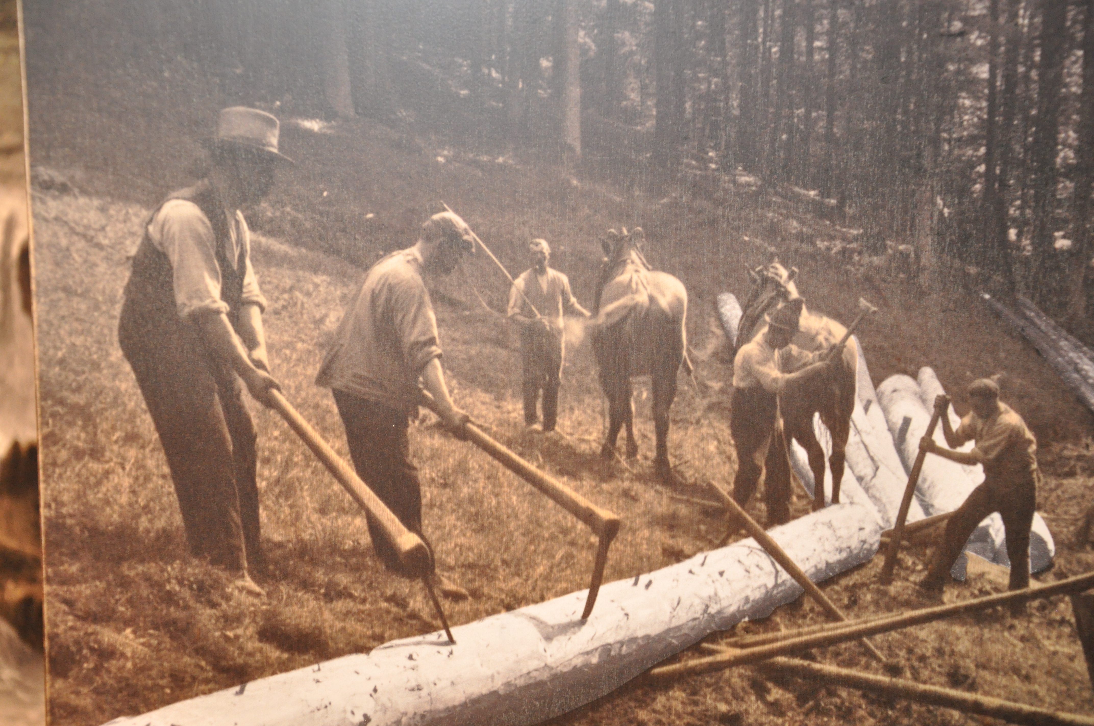 Ein altes Foto: Mehrere Männer zerlegen einen Baumstamm. Im Hintergrund sind Pferde. Foto: Iris Lemanczyk