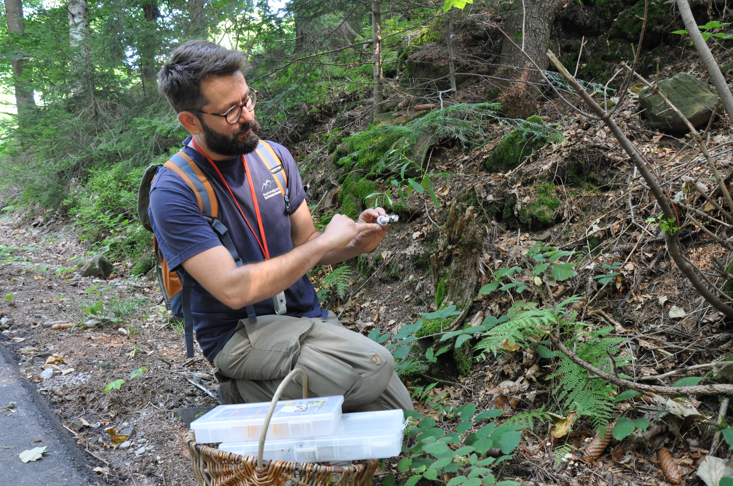 Ein Mann mit Brille, rotem Band um den Hals und einem Rucksack auf kniet am Rand eines Waldweges und betrachtet etwas in seinen Händen. Neben ihm steht ein Korb mit zwei durchsichtigen Plastikboxen. Foto: Nina Blazon